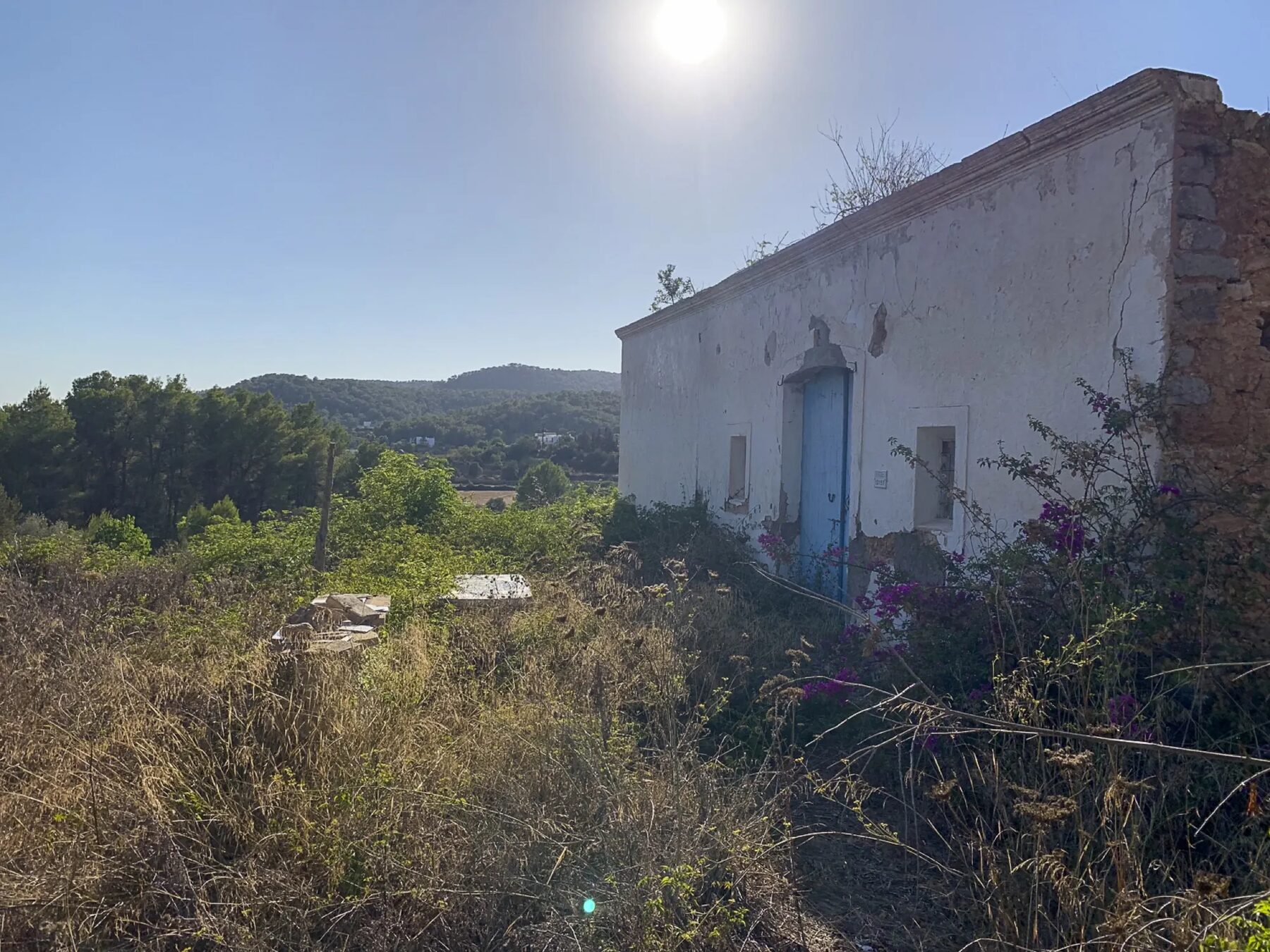 La maison de Buscastell aujourd'hui, en ruine, envahie par la végétation.